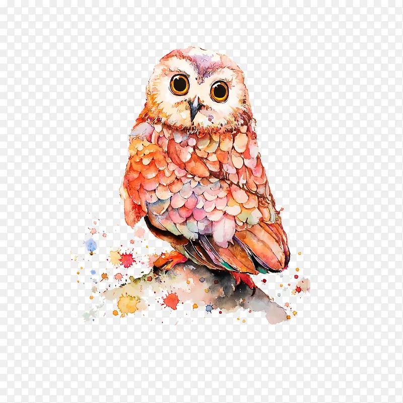 ����-������