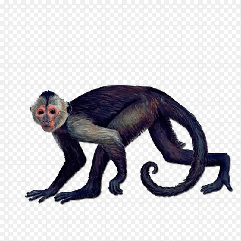 ��ͨ�ֻ涯��-������