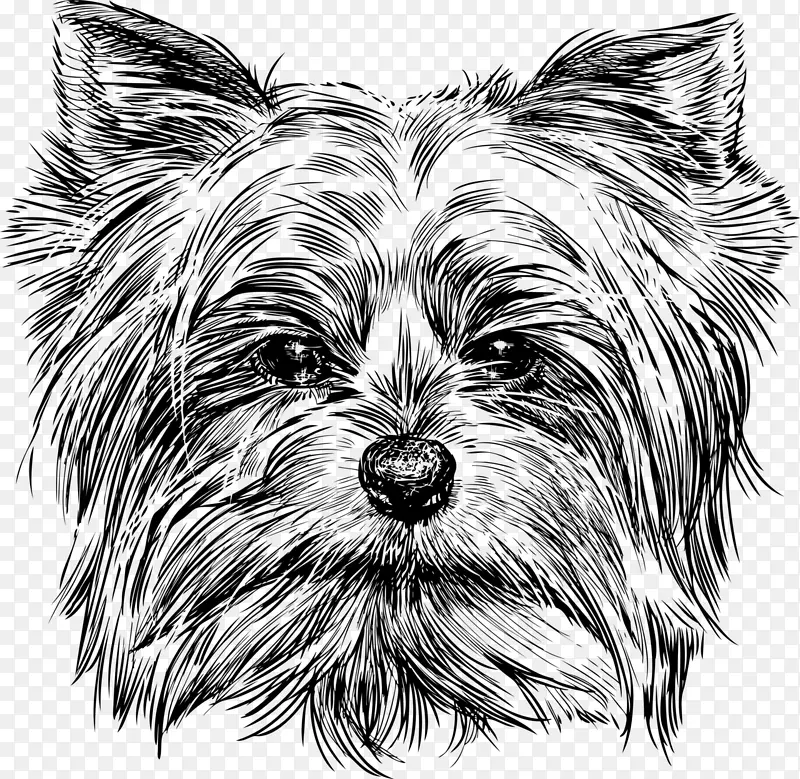 �ֻ涯��-������