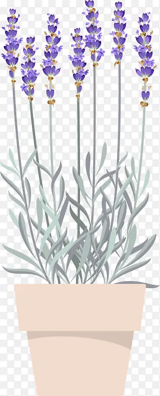 ��ɫ����޹�²�-������