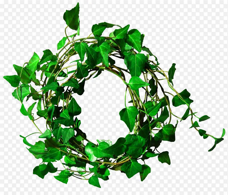 ��ɫ��Լ��Ȧװ��ͼ��-������