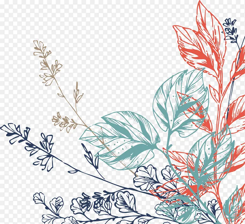 �������ֲ��-������