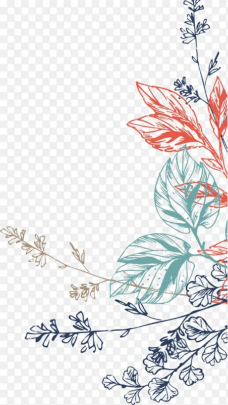 �������ֲ��-������