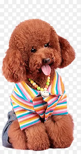 ����ɰ�С��-������