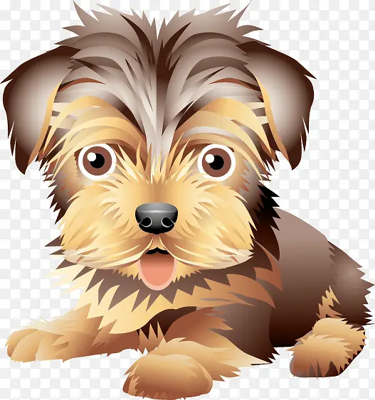 �ɰ�С��-������