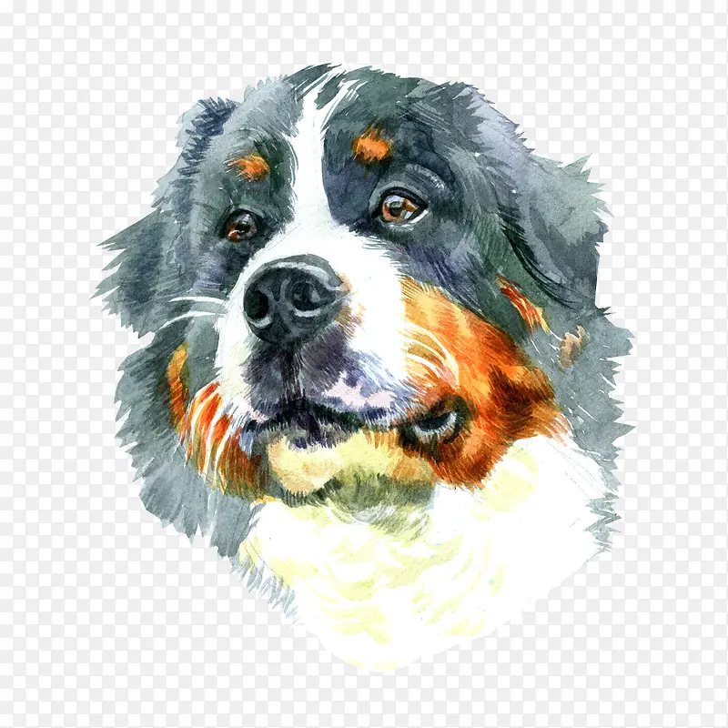 ��ͨ�ɰ�С����װ����ƶ���ͷ��-������