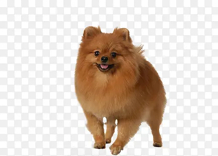 ����-������