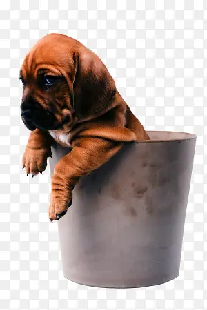 ��Թ��ɳƤ��-������