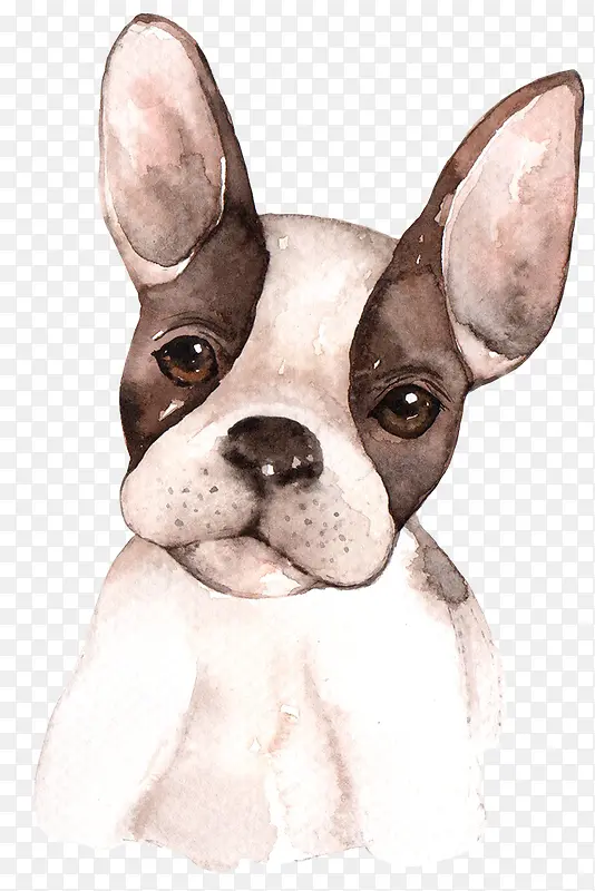 ��ͨ�ɰ�С����װ�ζ���ͷ��-������