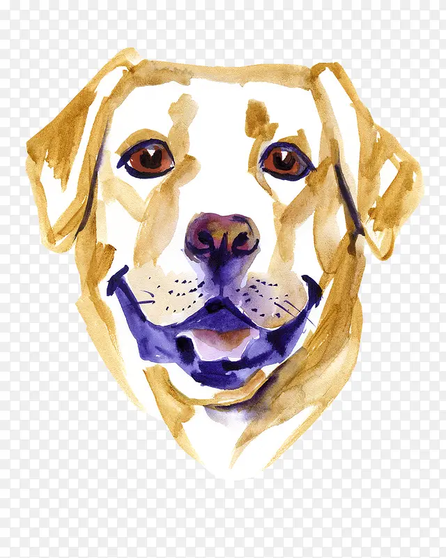 ��ͨ�ɰ�С����װ����ƶ���ͷ��-������