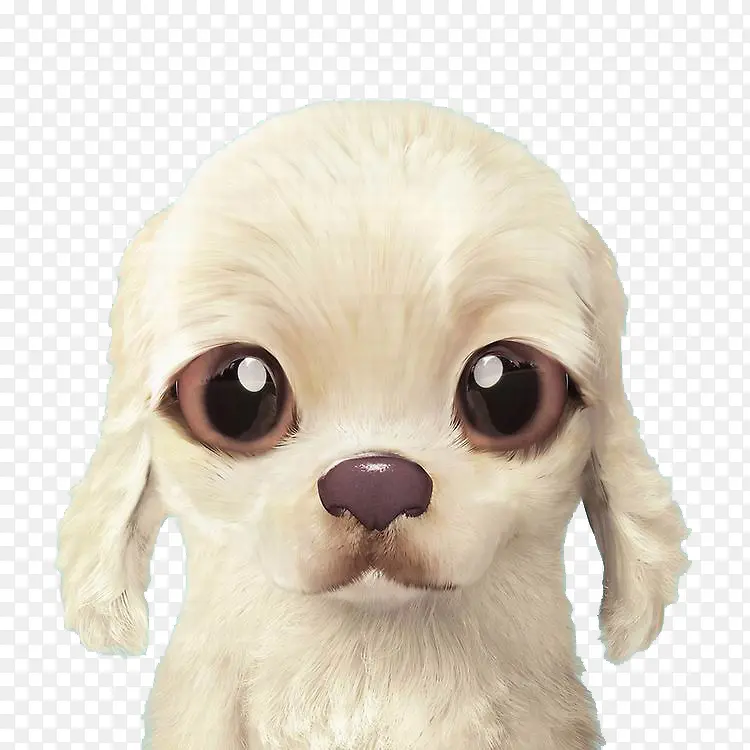 ��ͨ�ɰ�С����װ����ƶ���ͷ��-������