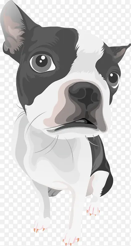 ��ͨ�ɰ�С����װ�ζ���ͷ�񹷹�-������