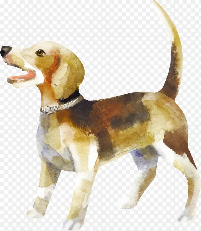 ˮ��С��-������