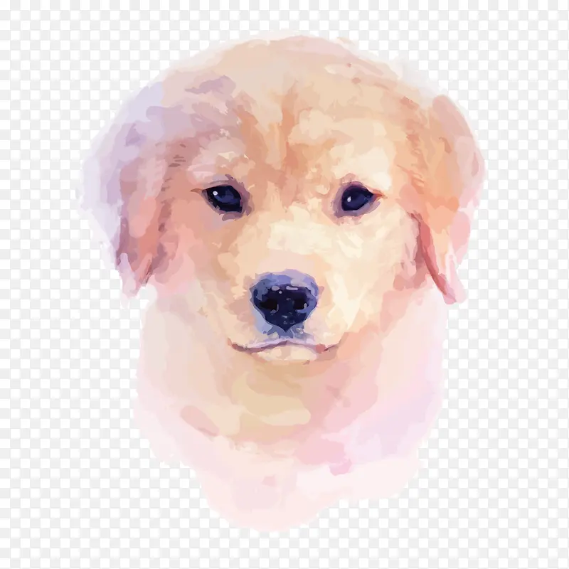 ˮ��С��-������