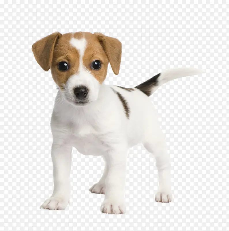 С�׹�-������