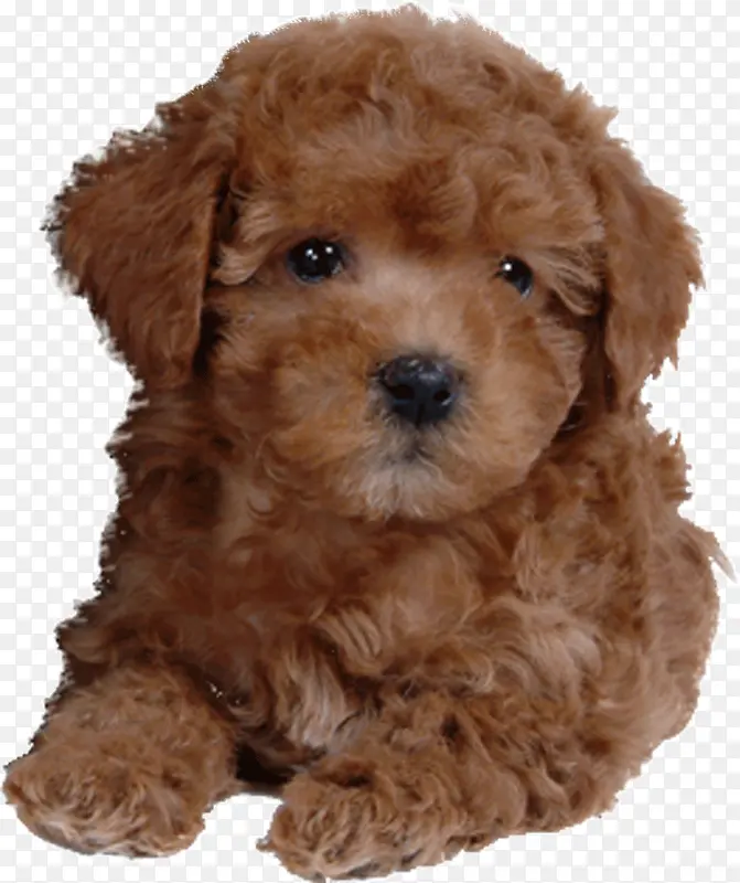 ����ɰ�С��-������