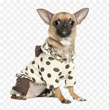 ����-������