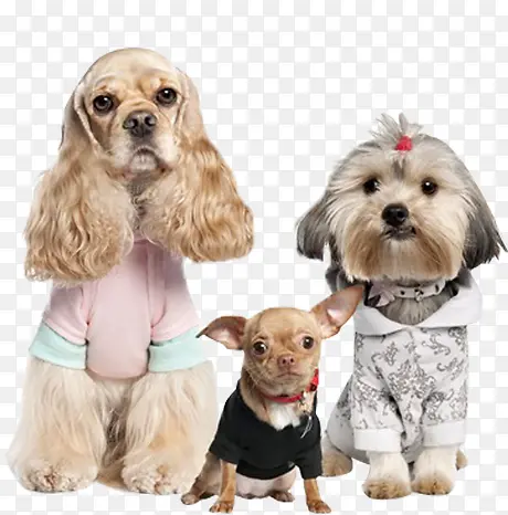 ����-������