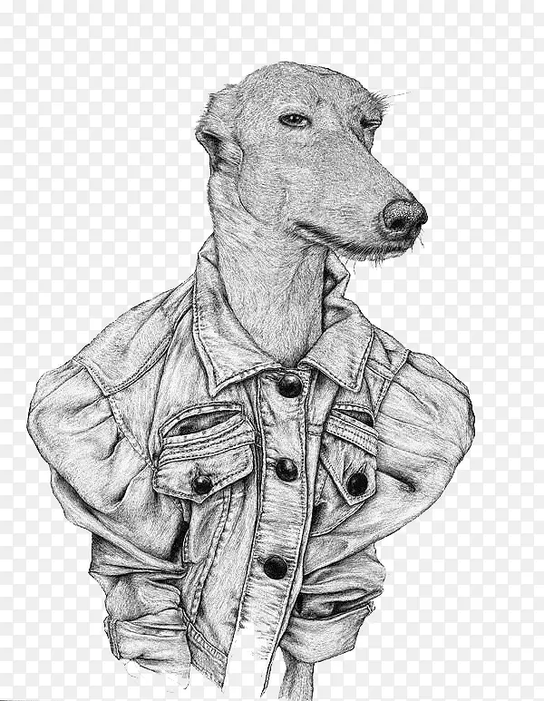 ����廭С������-������