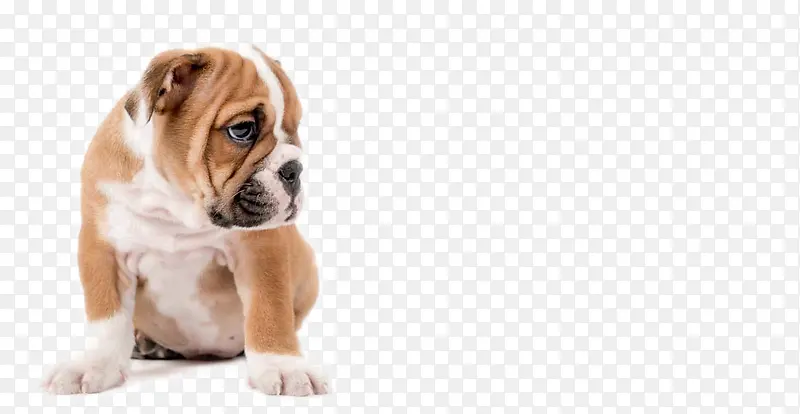 �ɰ���С��-������