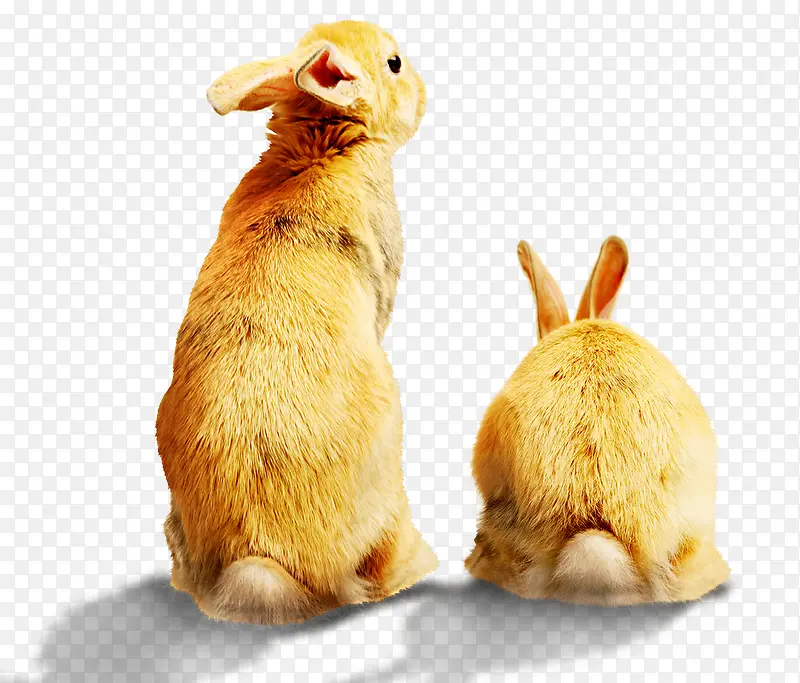 ����-������