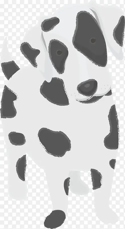 �ɰ���ͨ����ߵ㹷-������