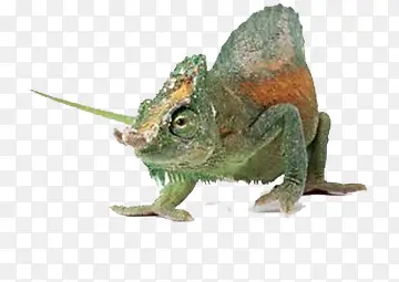 ��ʱ�ɫ��-������