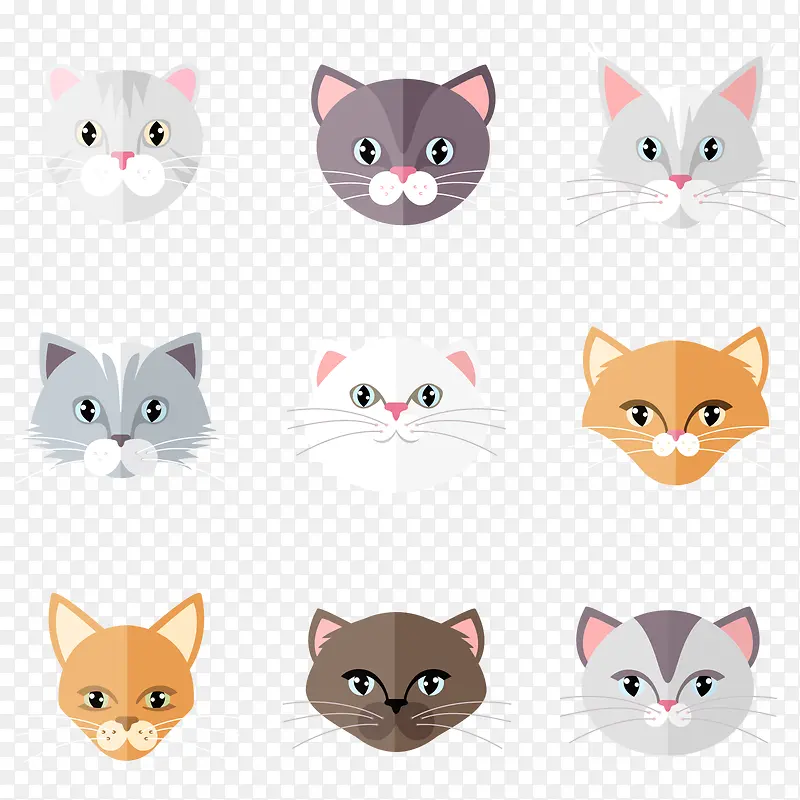 ��ƽ��è��ͷ��ʸ���ز�-������