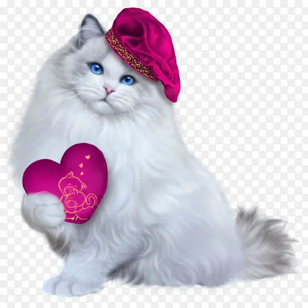 �ð��ĵ�è��-������