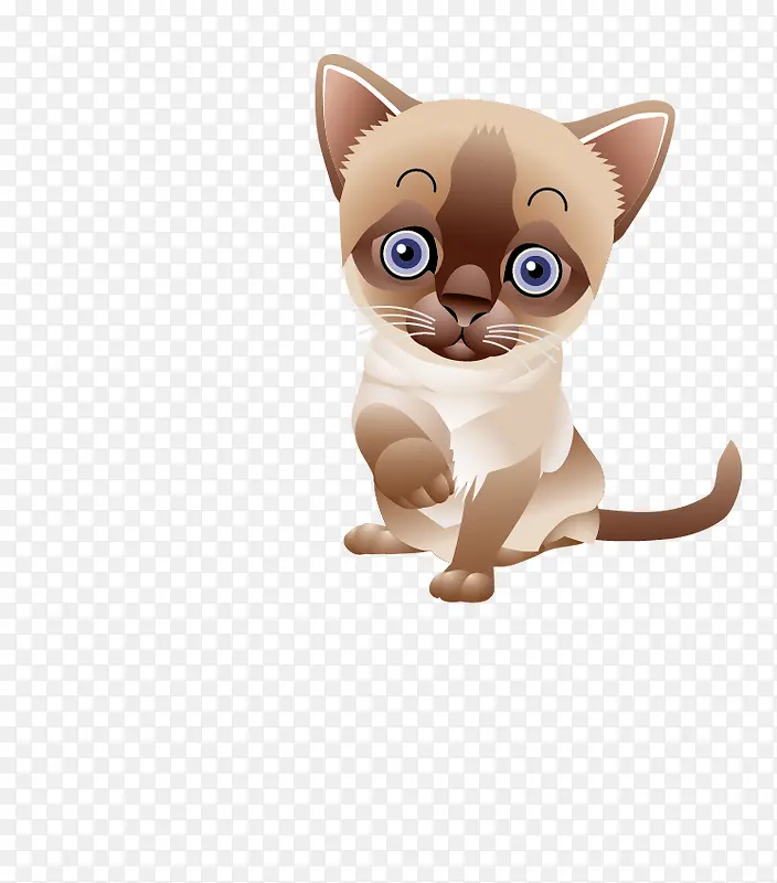 �ֻ濨ͨСè�ز�-������