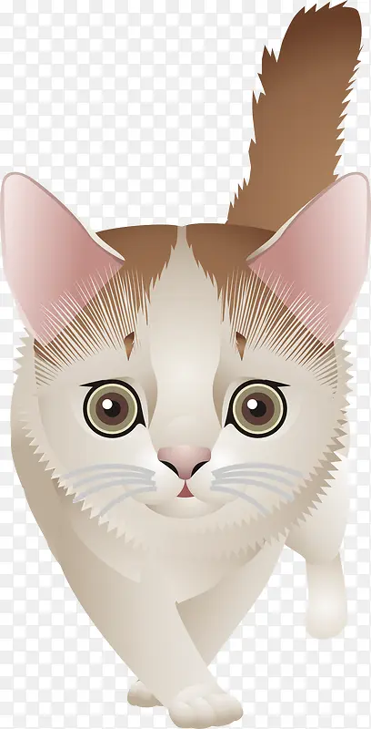 ��ͨ-������