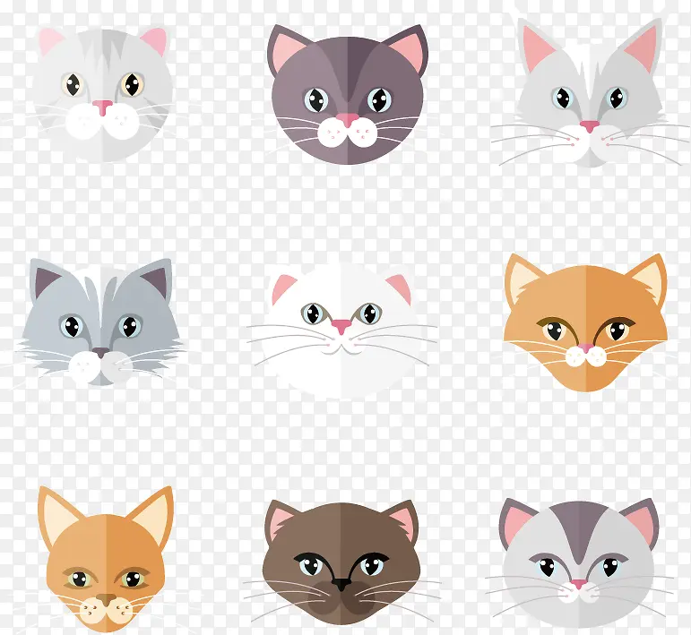 ��ƽ��è��ͷ��ʸ���ز�-������