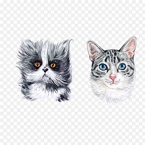 �ֻ�ˮ��è��ˮ��ͷ��-������