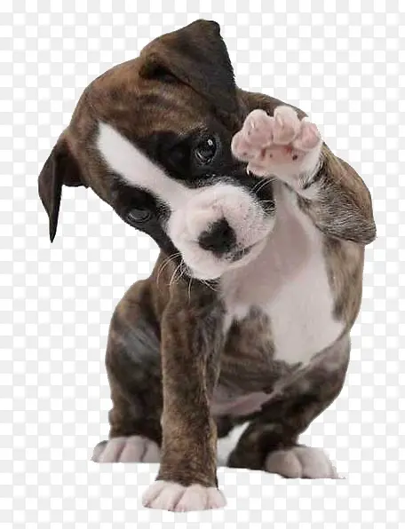 С������ɰ��ز�-������