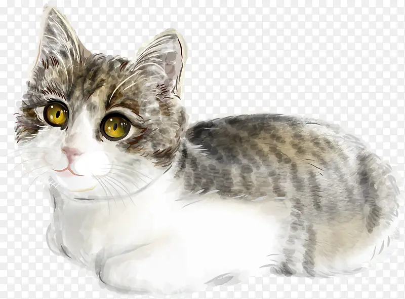 �ɰ�è��-������