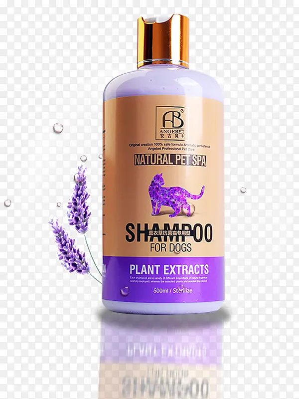 ����è��ԡ¶-������