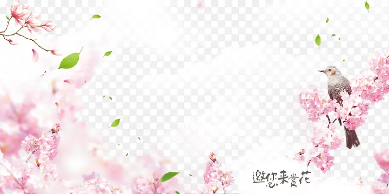 �һ��ƶ�װ�α������-������