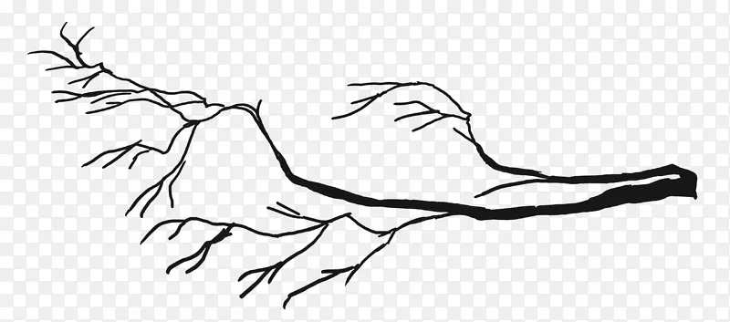 ��֦����Ҷ��ͼ����������.ˮ������-������