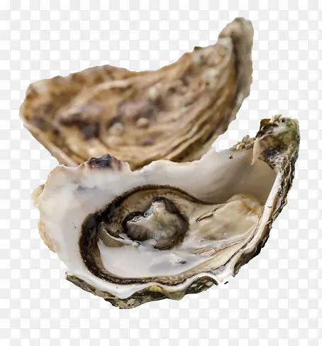 ���-������