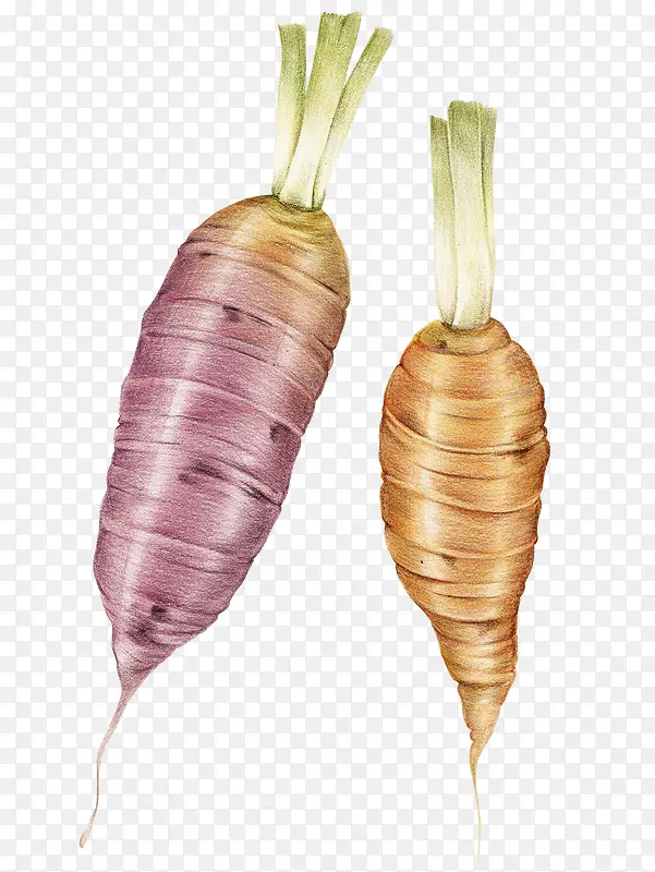 ��ͨ�ֻ��߲�װ�κ������-������