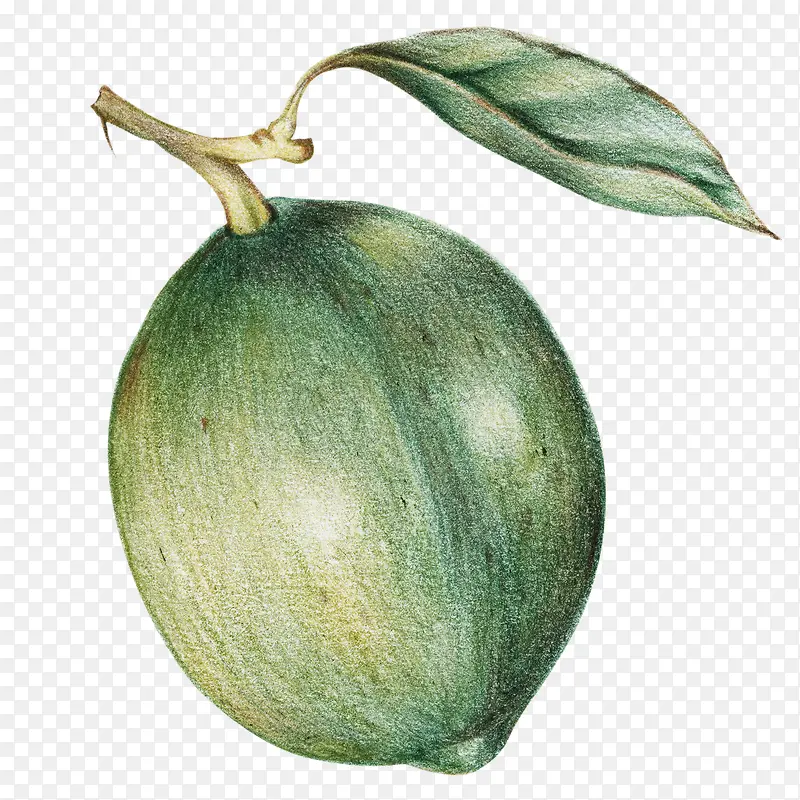 ��ͨ�ֻ��߲�װ�κ������-������