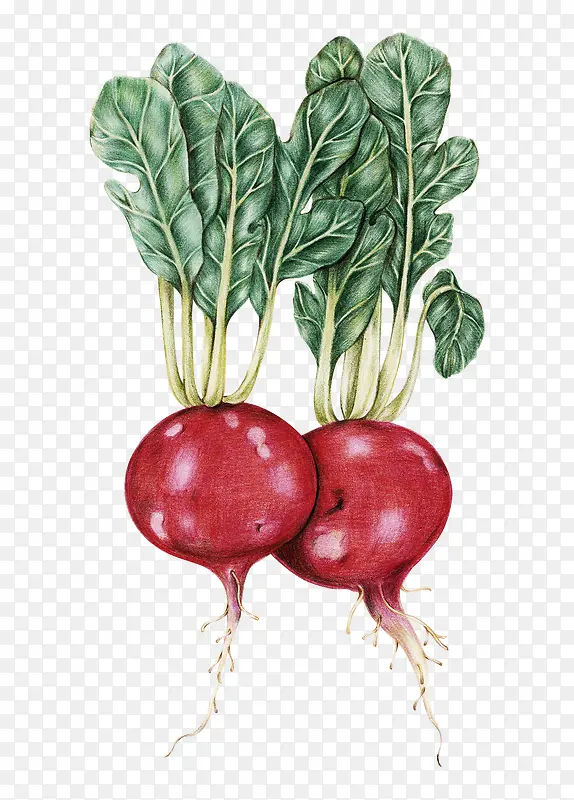 ��ͨ�ֻ��߲�װ�κ������-������