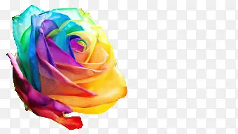 ��ɫõ��-������