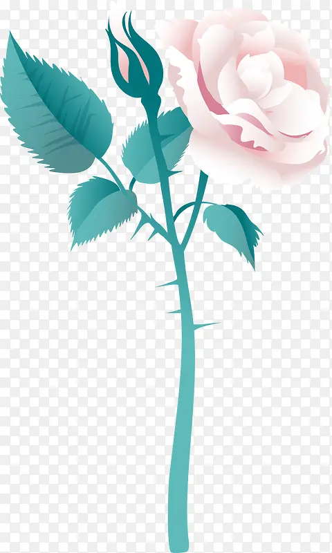 ����õ�廨-������