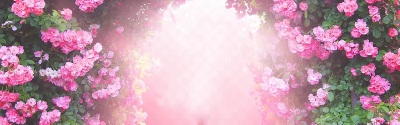 ����-������