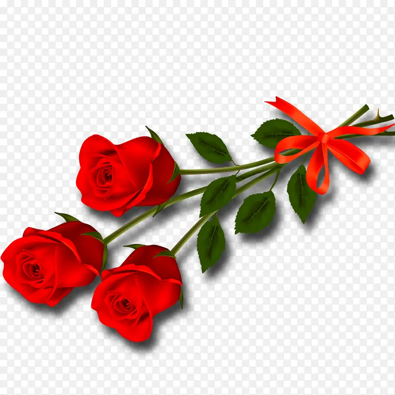 õ��-������