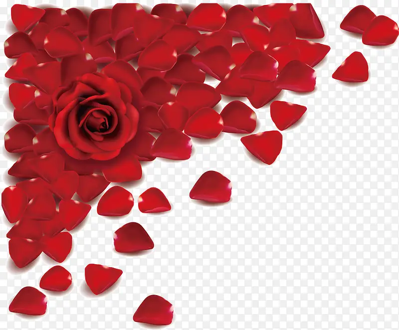 õ�廨��-������