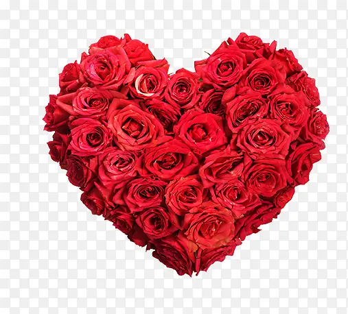 õ�尮��-������