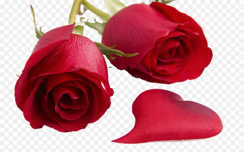 õ�廨-������