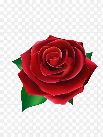 õ�廨-������